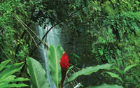 Waterfall